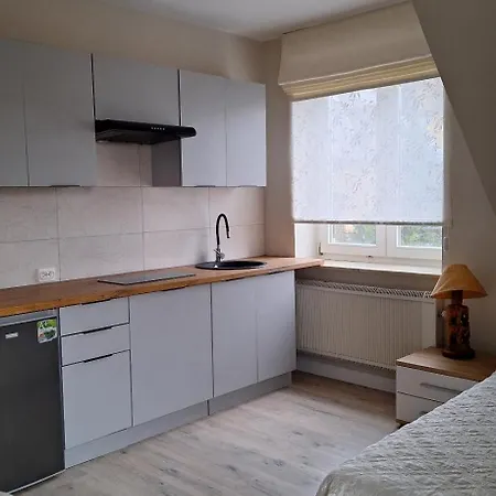 Dom Noemi Apartment Plock